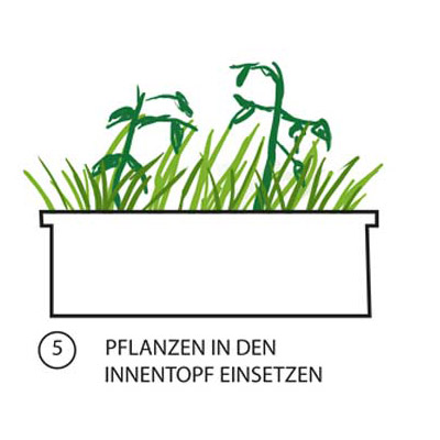 FLORA Bauanleitung Bild 5: Pflanzen in den Innentopf einsetzen