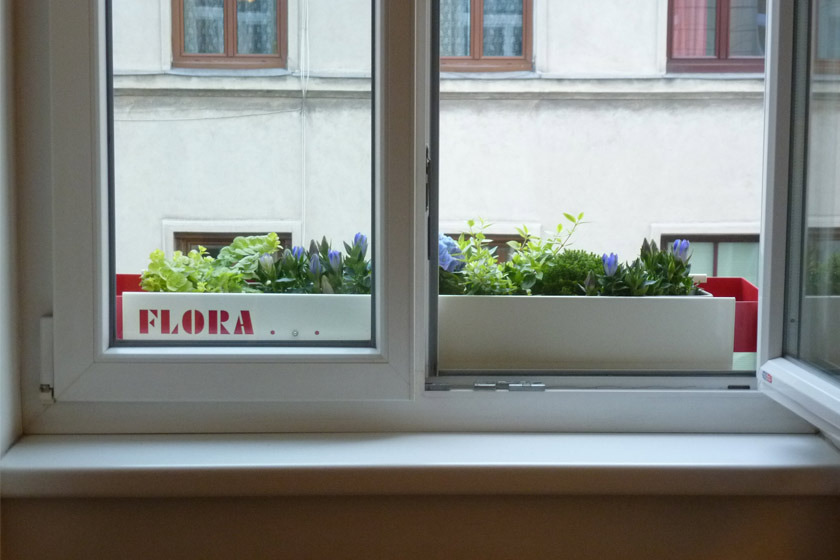 FLORA 1.2 - Perlweiß-Himbeerrot - Auf Fensterbankel montiert