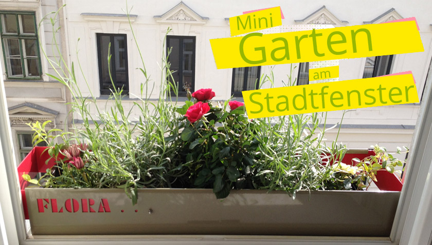Flora - Minigarten am Stadtfenster